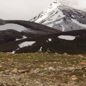 Ruta 7 Lagos Chile de bike
