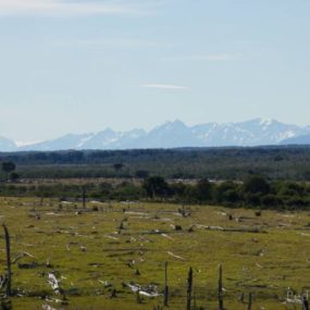 Puerto Natales - Punta Arenas - Terra do Fogo